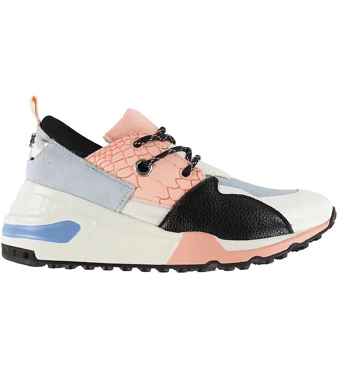 CLIFF SNEAKERS STEVE MADDEN ( FARVER)